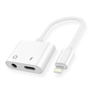 Lightning AUX Duo Adapter